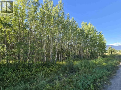 3497 JECK Road | McBride British Columbia | Slide Image Seven