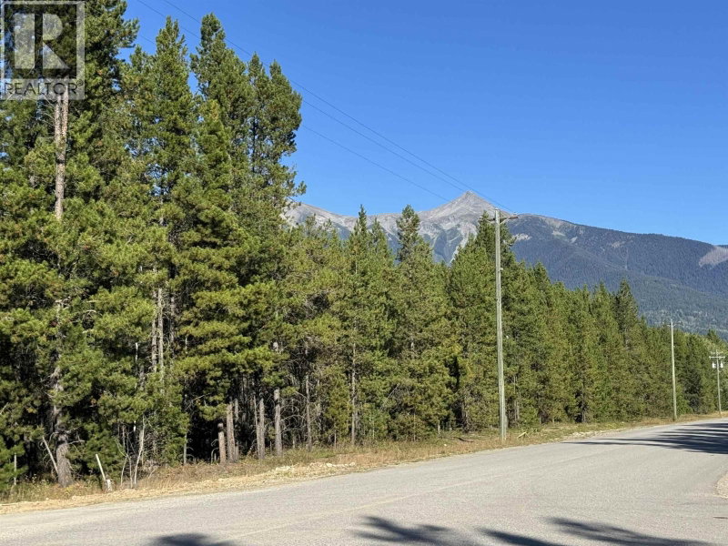 1250 17TH Avenue Valemount British Columbia, V0E 2Z0 - Vacant Land For Sale