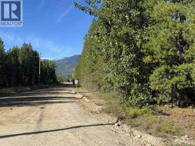 1250 17TH Avenue | Valemount British Columbia | Slide Image Five