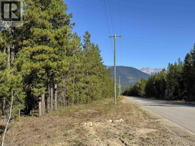 1250 17TH Avenue | Valemount British Columbia | Slide Image Six