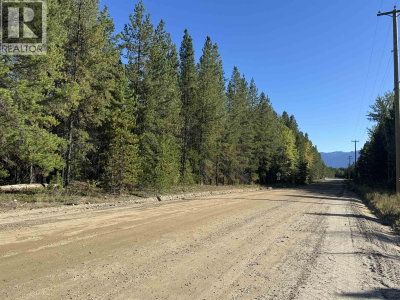 1250 17TH Avenue | Valemount British Columbia | Slide Image Eight