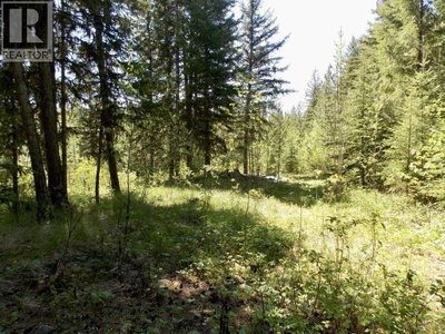 2 STARLIKE LAKE Road | Williams Lake British Columbia | Slide Image Ten
