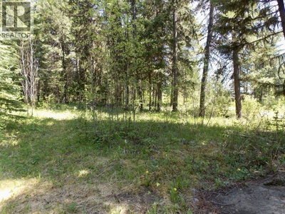 2 STARLIKE LAKE Road | Williams Lake British Columbia | Slide Image Five