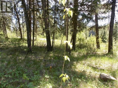 2 STARLIKE LAKE Road | Williams Lake British Columbia | Slide Image Six