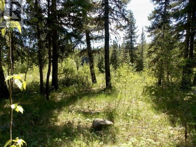 2 STARLIKE LAKE Road | Williams Lake British Columbia | Slide Image Seven