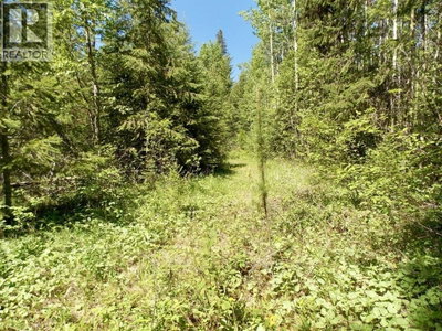 2 STARLIKE LAKE Road | Williams Lake British Columbia | Slide Image Eight
