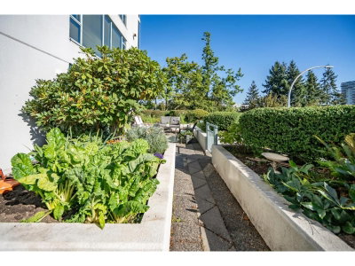 32330 SOUTH FRASER Way | Abbotsford British Columbia | Slide Image Thirty-three