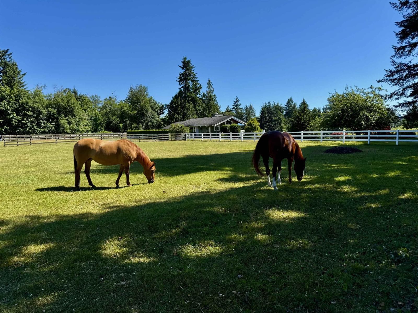 25177 64 Avenue, Langley, British Columbia V4W 1H5