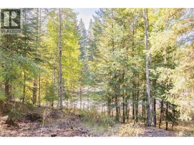 3 RAINBOW Drive | Canim Lake British Columbia | Slide Image Ten