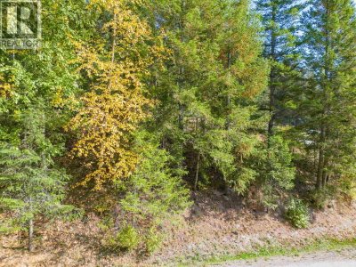 3 RAINBOW Drive | Canim Lake British Columbia | Slide Image Three