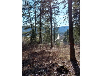 3 RAINBOW Drive | Canim Lake British Columbia | Slide Image Seven