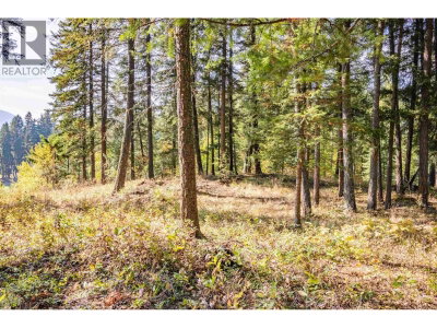 3 RAINBOW Drive | Canim Lake British Columbia | Slide Image Nine