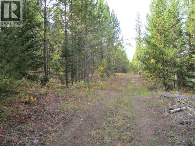 4 FOOTHILLS Road | Horse Lake British Columbia | Slide Image Three