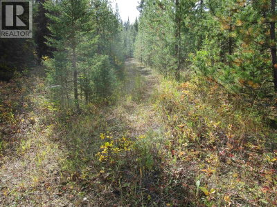 4 FOOTHILLS Road | Horse Lake British Columbia | Slide Image Six