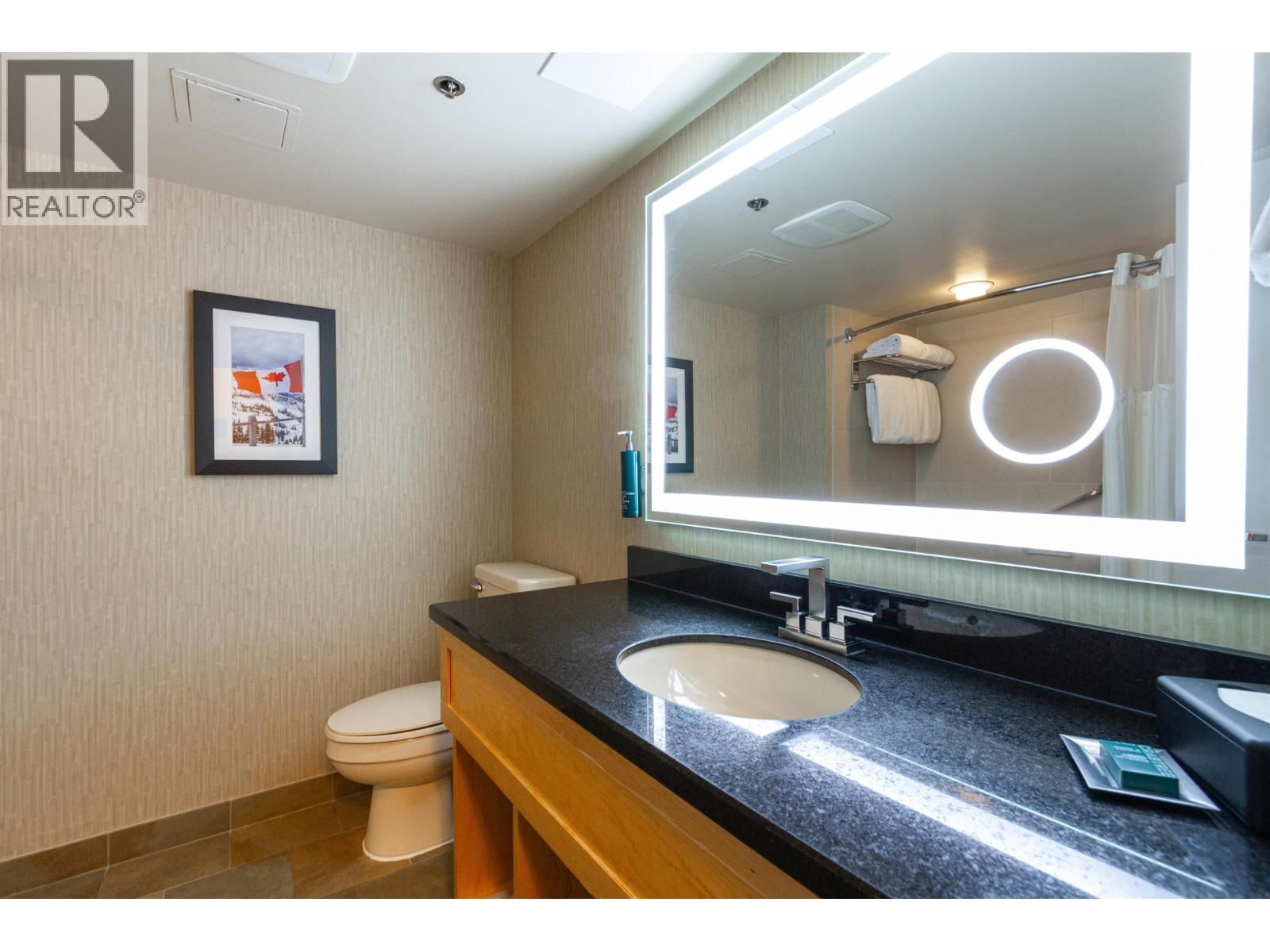 161 4050 WHISTLER Way property photo