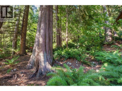 2787 PANORAMA Drive | North Vancouver British Columbia | Slide Image Twenty-eight