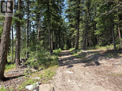 1462 WALTERS LAKE Road | Horsefly British Columbia | Slide Image Nineteen