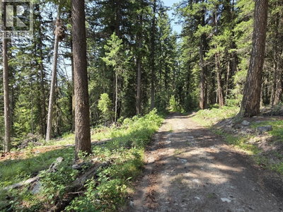 1462 WALTERS LAKE Road | Horsefly British Columbia | Slide Image Twenty