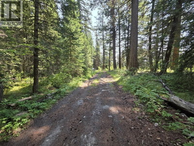 1462 WALTERS LAKE Road | Horsefly British Columbia | Slide Image Twenty-five