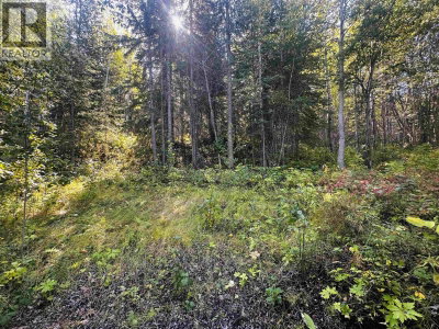 5 MUNDHAUSEN Road | Burns Lake British Columbia | Slide Image Thirteen