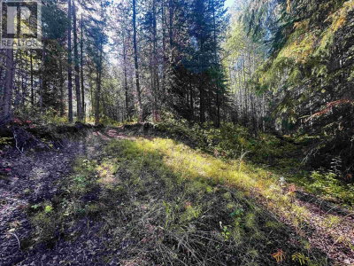 5 MUNDHAUSEN Road | Burns Lake British Columbia | Slide Image Fourteen