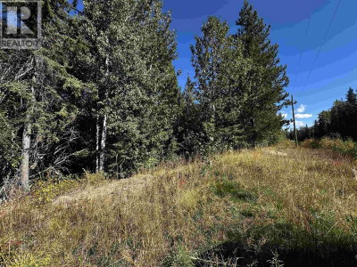5 MUNDHAUSEN Road | Burns Lake British Columbia | Slide Image Seventeen
