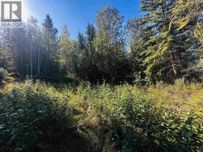5 MUNDHAUSEN Road | Burns Lake British Columbia | Slide Image Nine