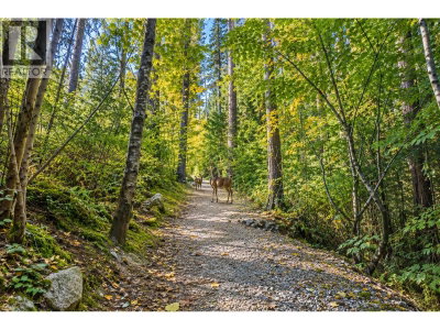 167 FERNWAY Drive | Port Moody British Columbia | Slide Image Thirty-three
