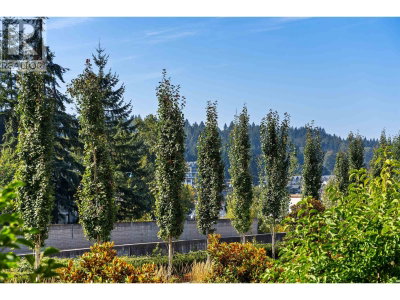 55 KLAHANIE Drive | Port Moody British Columbia | Slide Image Twenty-nine