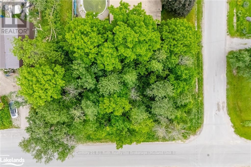 Primary Property View