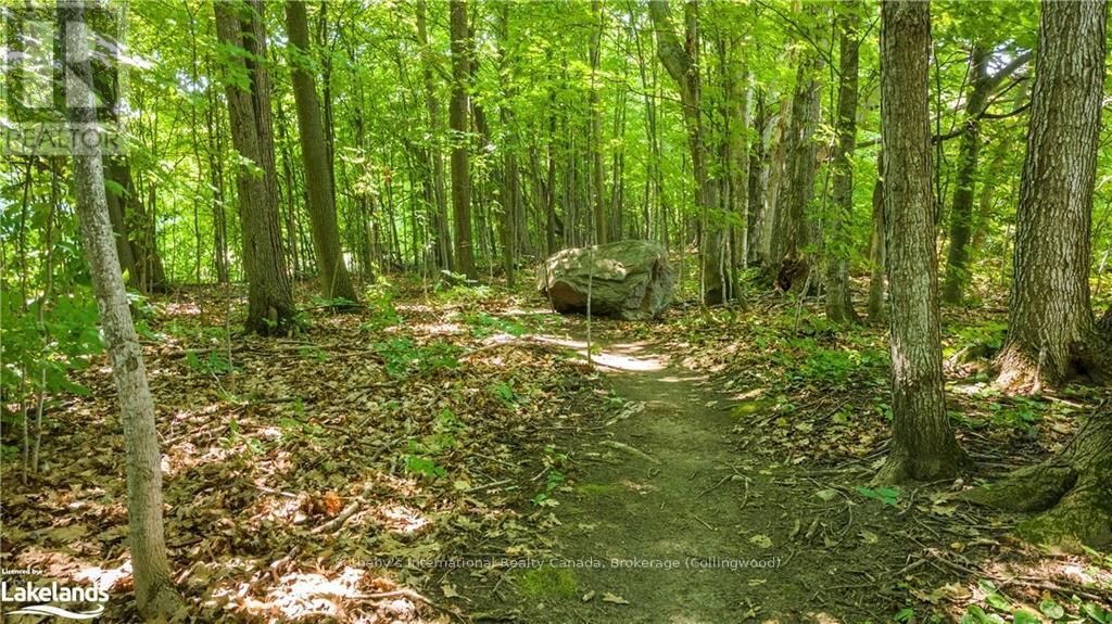8870 COUNTY 93 ROAD Image 35