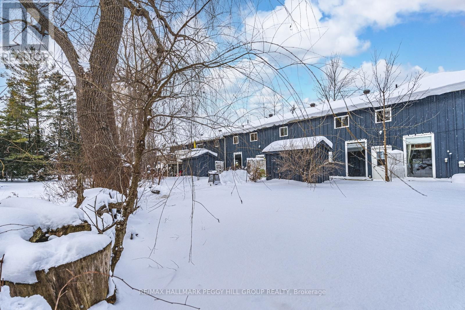 3071 MOSLEY STREET Image 4