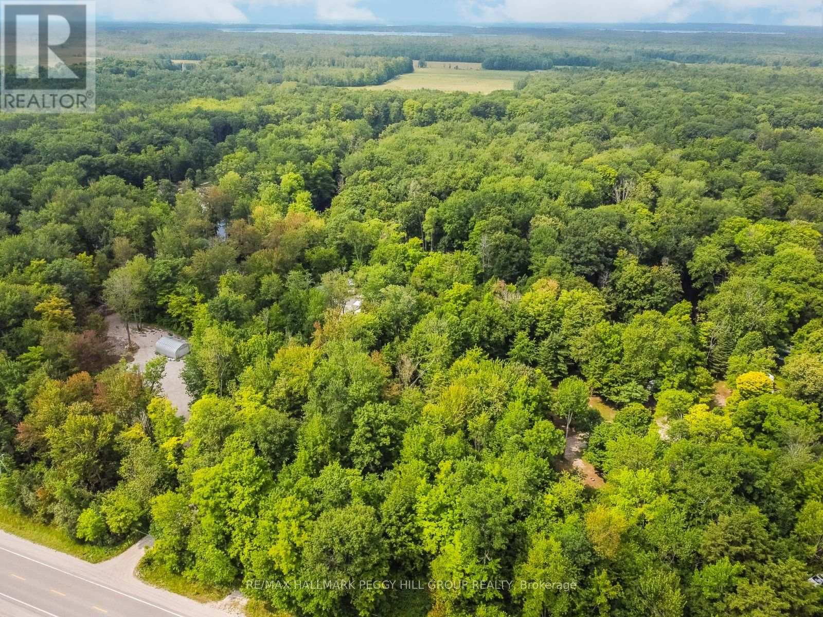 Primary Property View