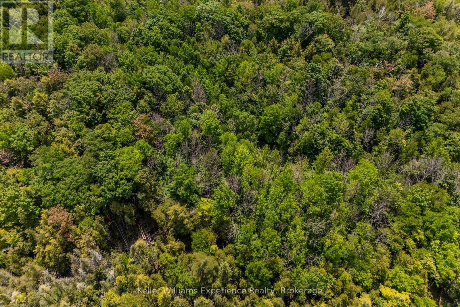 2442 CHAMPLAIN ROAD Image 12