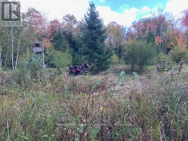 2442 CHAMPLAIN ROAD Image 36