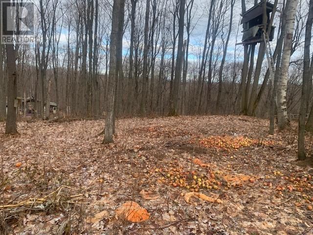 2442 CHAMPLAIN ROAD Image 37