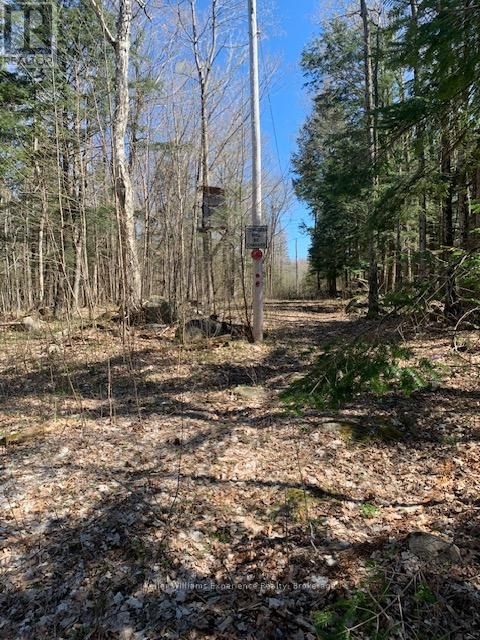 2442 CHAMPLAIN ROAD Image 38