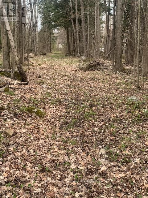 2442 CHAMPLAIN ROAD Image 39