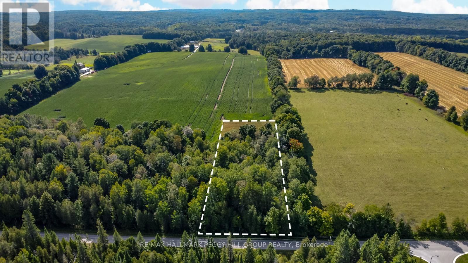 Primary Property View