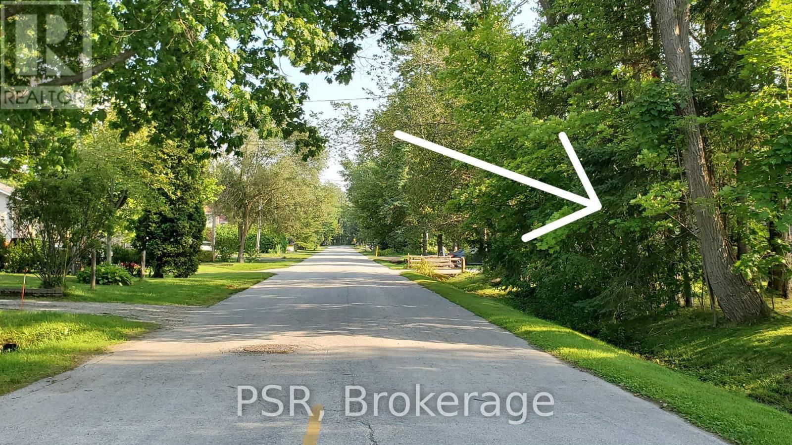 Primary Property View