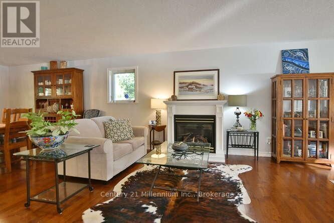 4 PAULINE PLACE Image 14