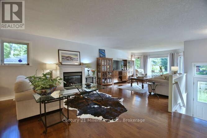 4 PAULINE PLACE Image 16