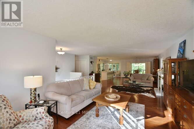 4 PAULINE PLACE Image 18
