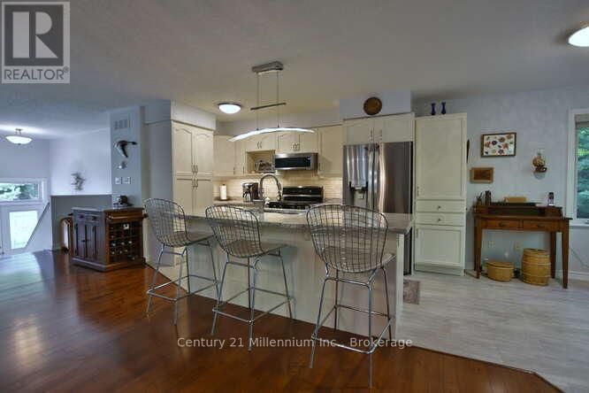 4 PAULINE PLACE Image 28