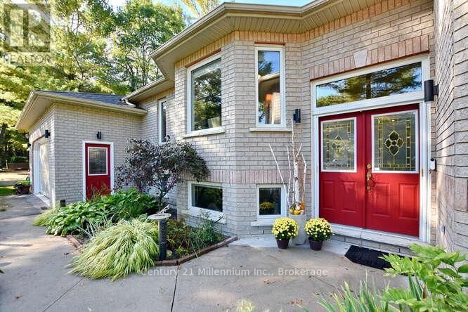 4 PAULINE PLACE Image 3