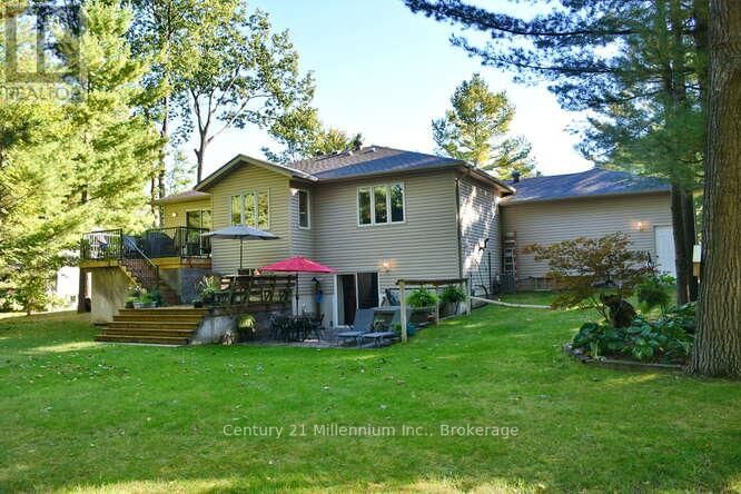 4 PAULINE PLACE Image 4