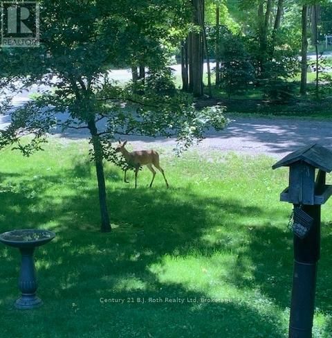 100 TALL PINES DRIVE Image 45