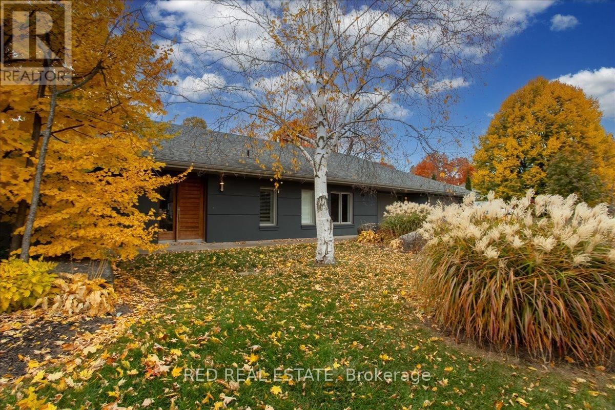 88 COOK STREET Image 2