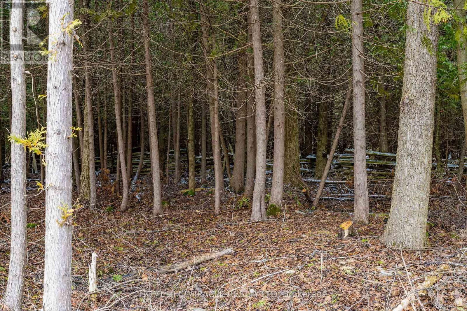 2506 CONCESSION 10 N NOTTAWASAGA ROAD Image 20