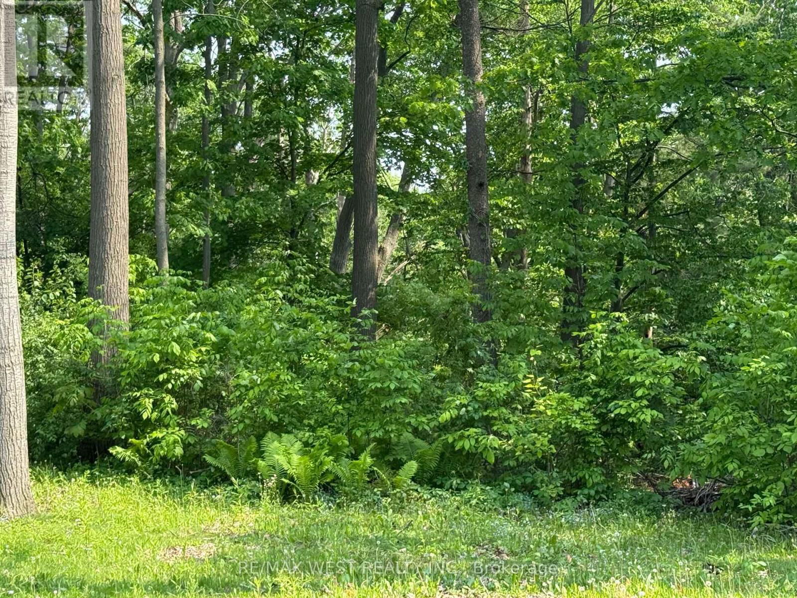 105 SHIRLEY AVENUE Image 2